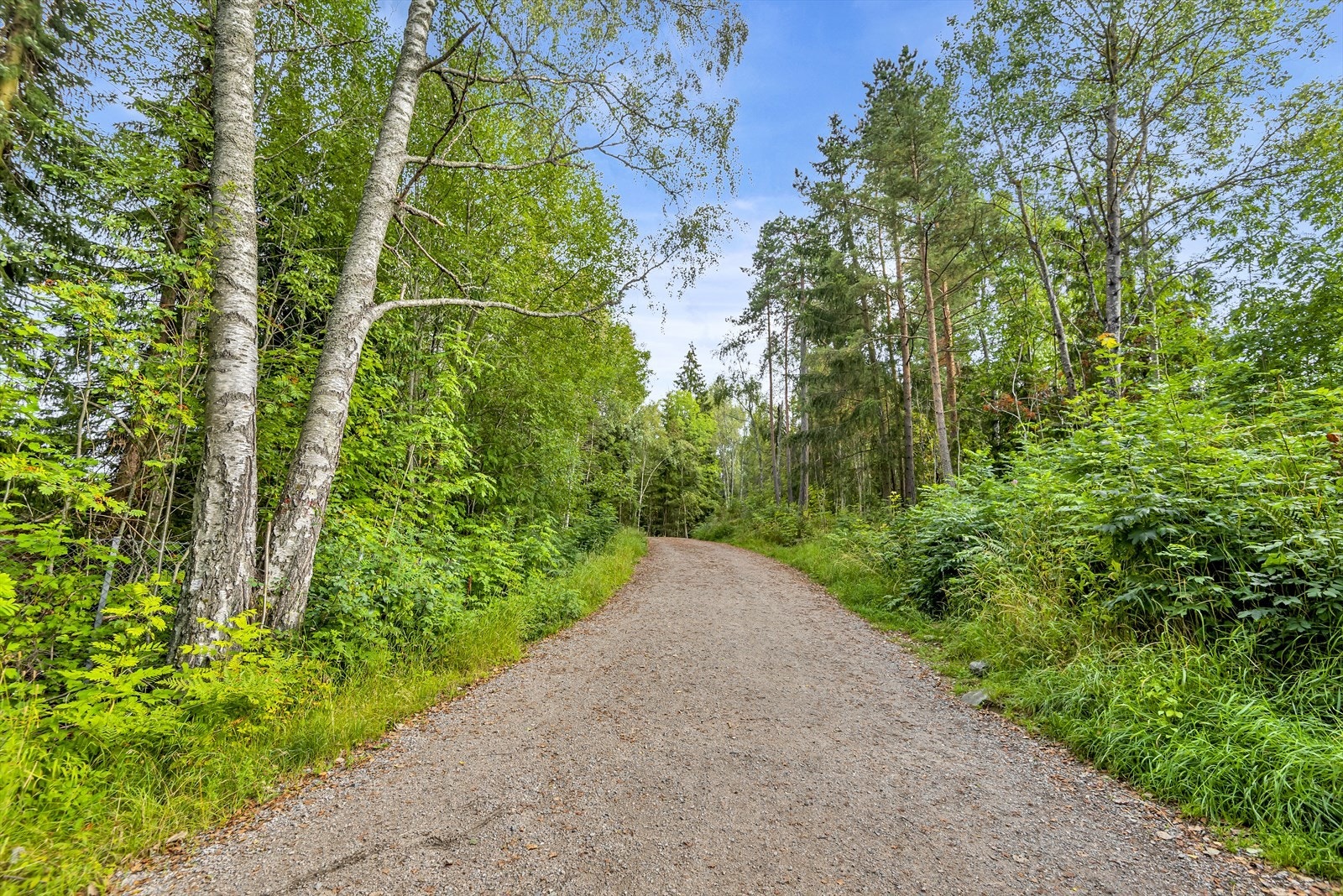 Marka byr på naturopplevelser for alle sesonger, enten du vil gå tur i sommervarmen eller utforske skiløypene om vinteren. Galleribilde