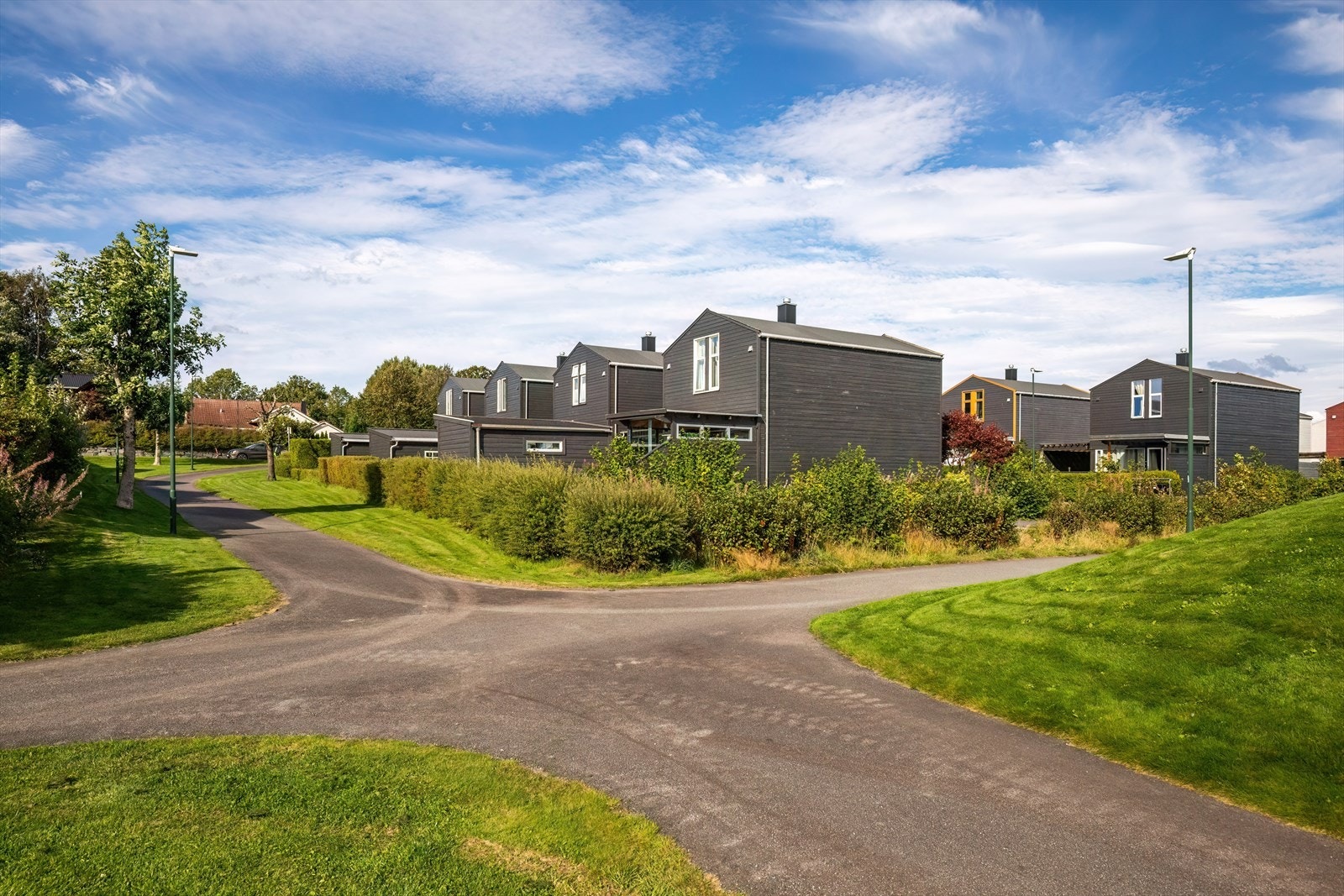 Nærområde Galleribilde