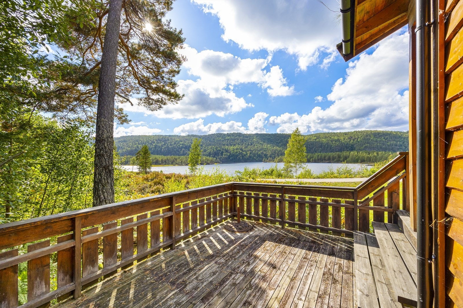 Fantastisk utsikt over vann og skog - rett fra terrassen. Galleribilde