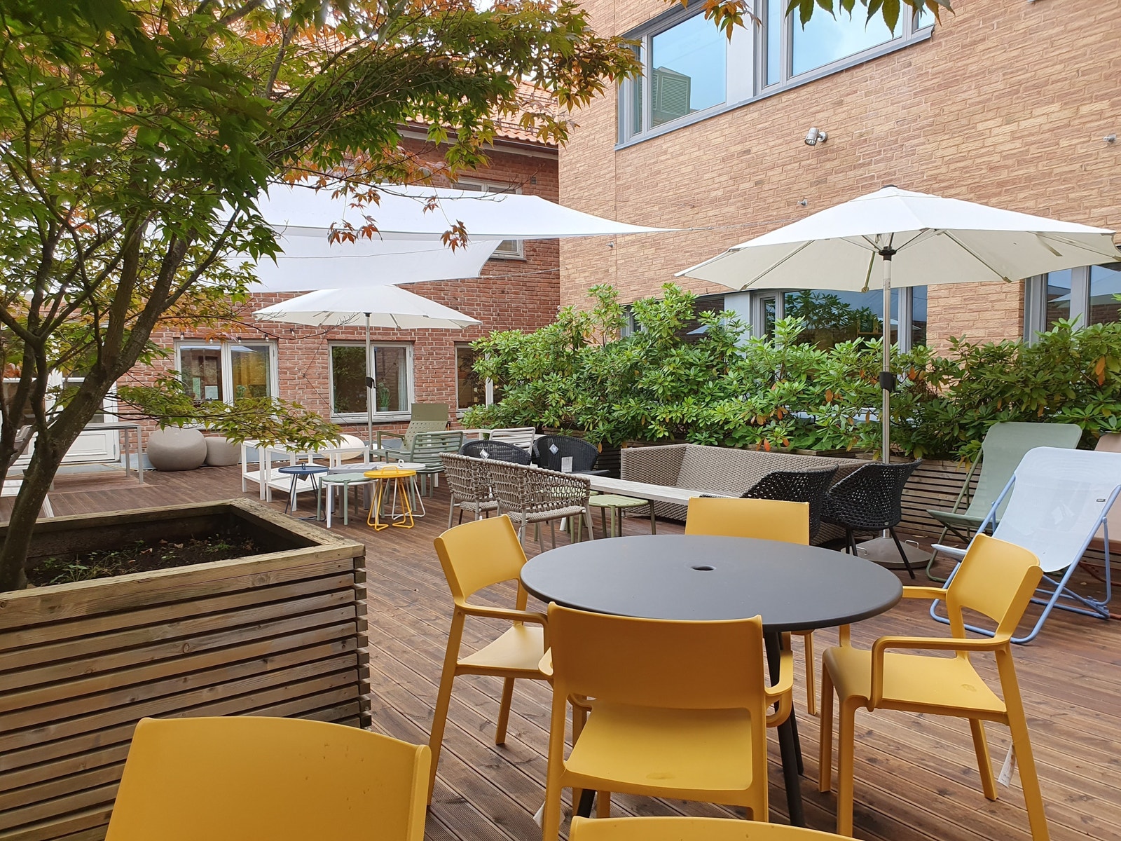 Tilgang til idyllisk takhage Galleribilde