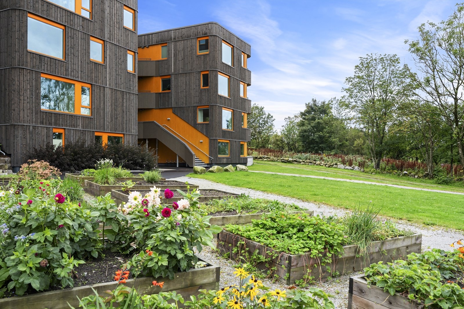 - Her kan beboerne få dyrke både blomster og grønnsaker enten utendørs eller i drivhuset - Galleribilde