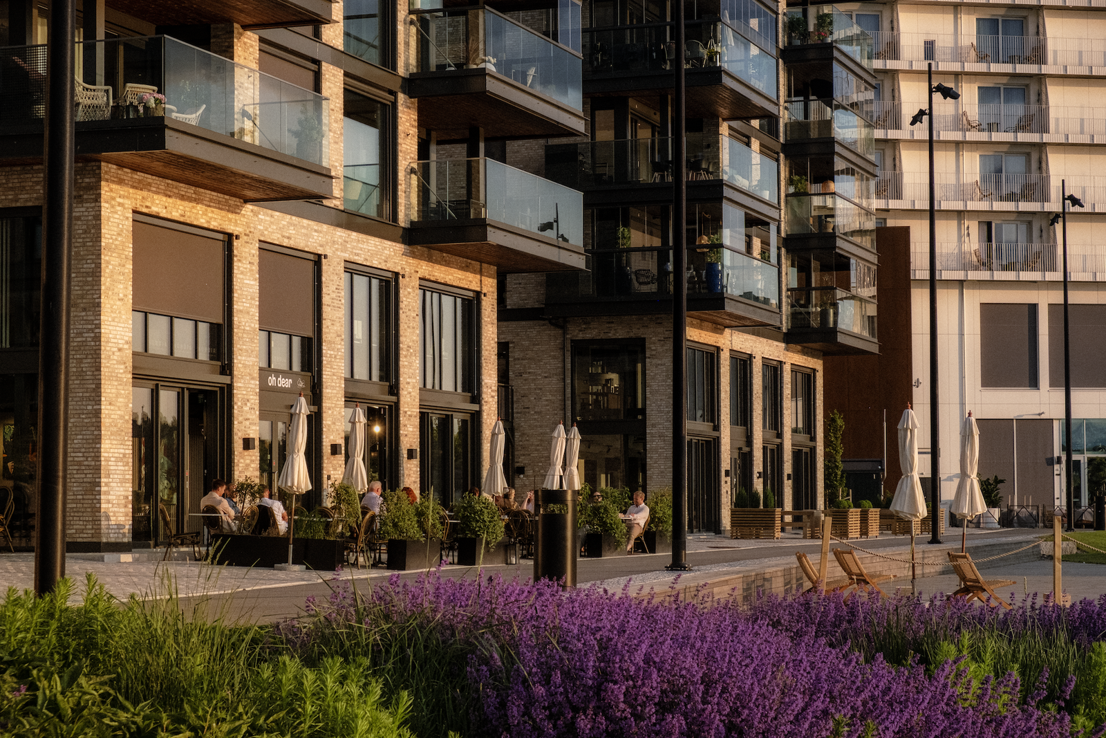 På vinbaren, oh dear, finner du definitivt din neste favoritt vin Galleribilde