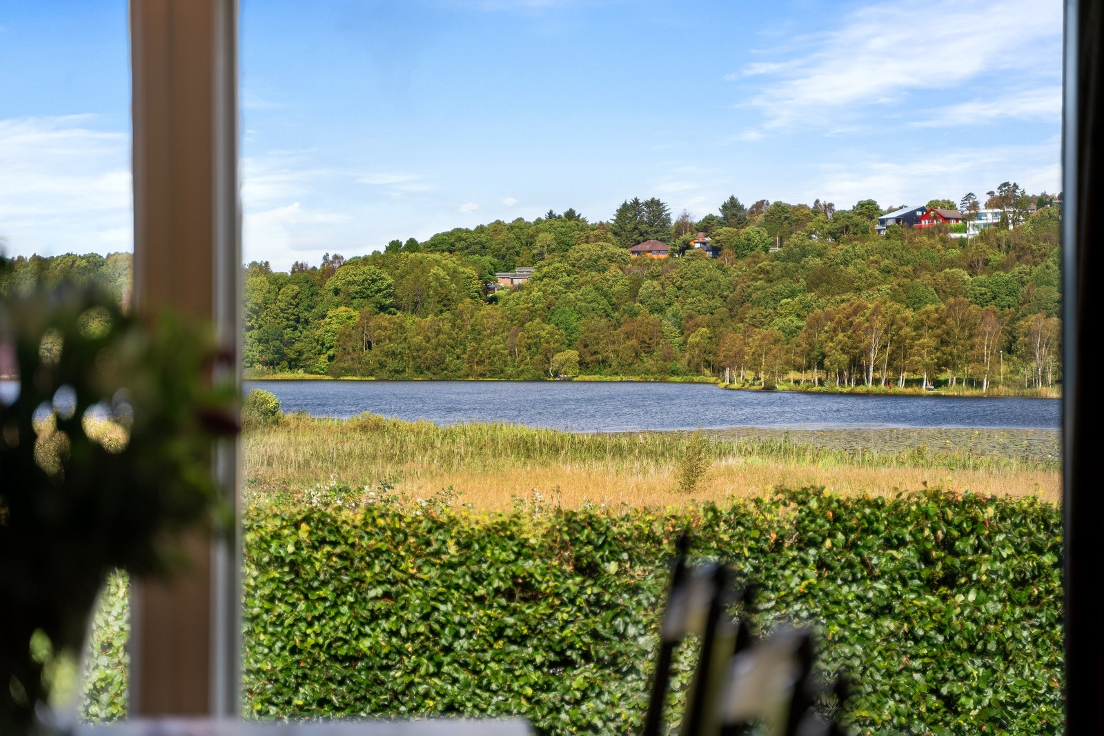 Nydelig utsikt Galleribilde