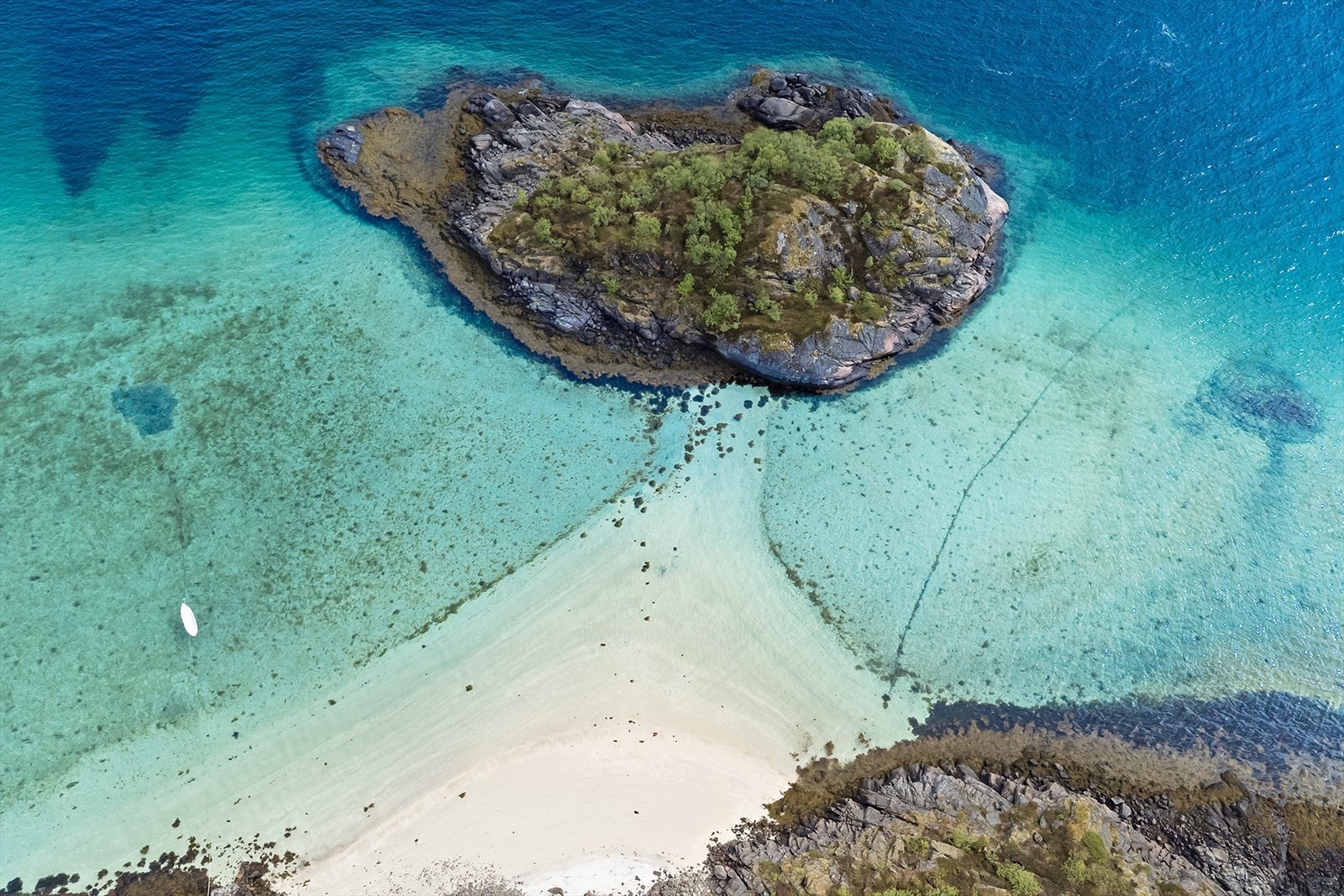 Vakker badestrand Galleribilde