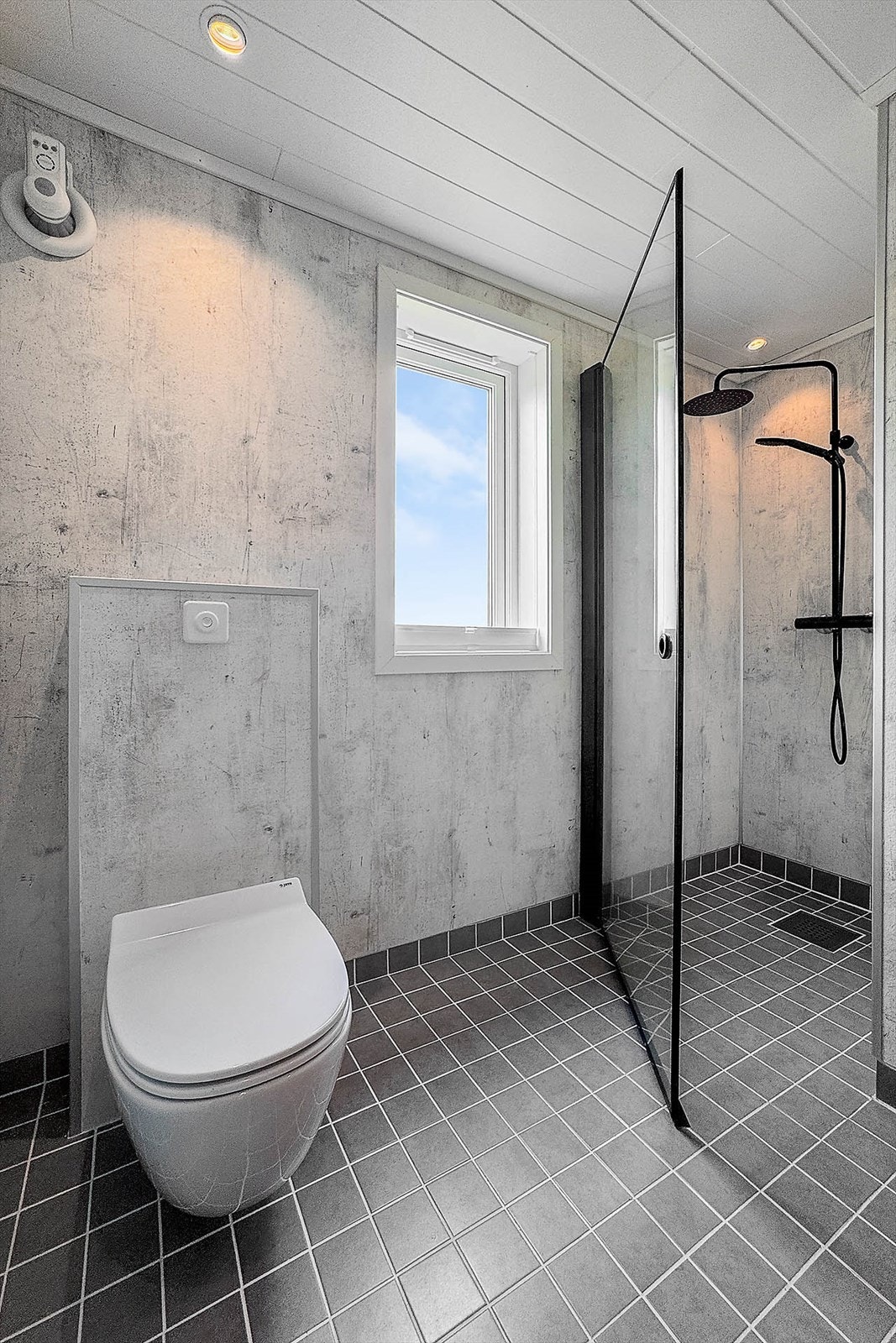 Vegghengt toalett, uttrekksvifte og downlights i tak Galleribilde