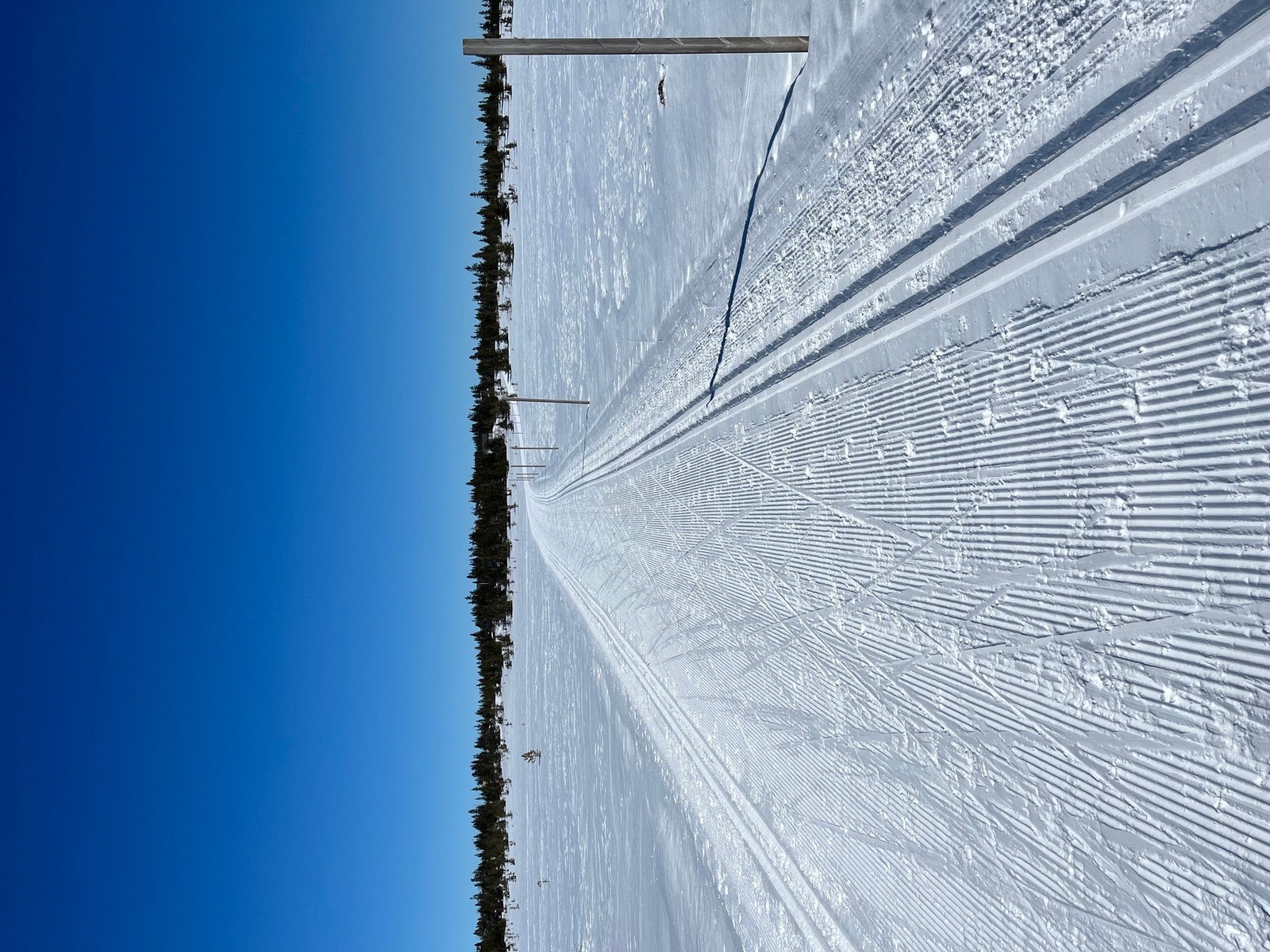 Selgers private bilde av vintermagi. Galleribilde