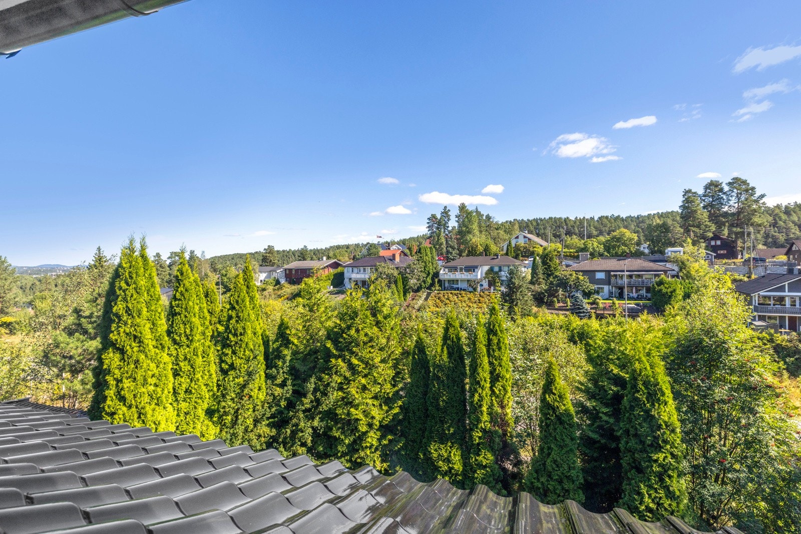 Her kan du nyte en vakker utsikt over både frodige grøntområder og nabolaget.