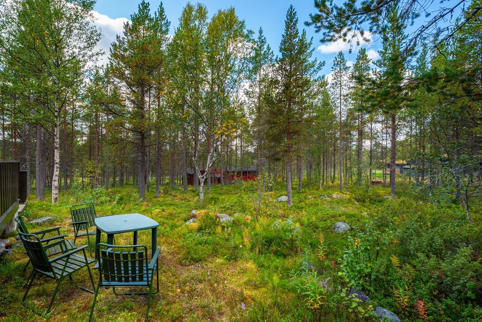 Like ved feltet har man tilgang på oppkjørte skiløyper som henger sammen med Røros sitt store løypenett. Galleribilde