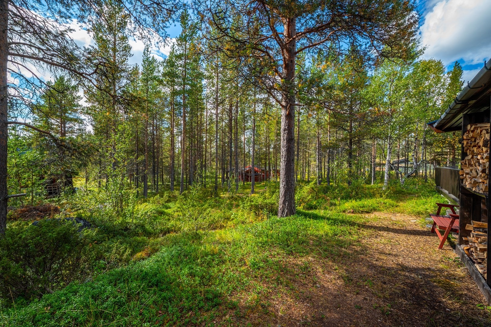 Fra eiendommen er det kun ca 2,5 km til Røros sentrum. Galleribilde