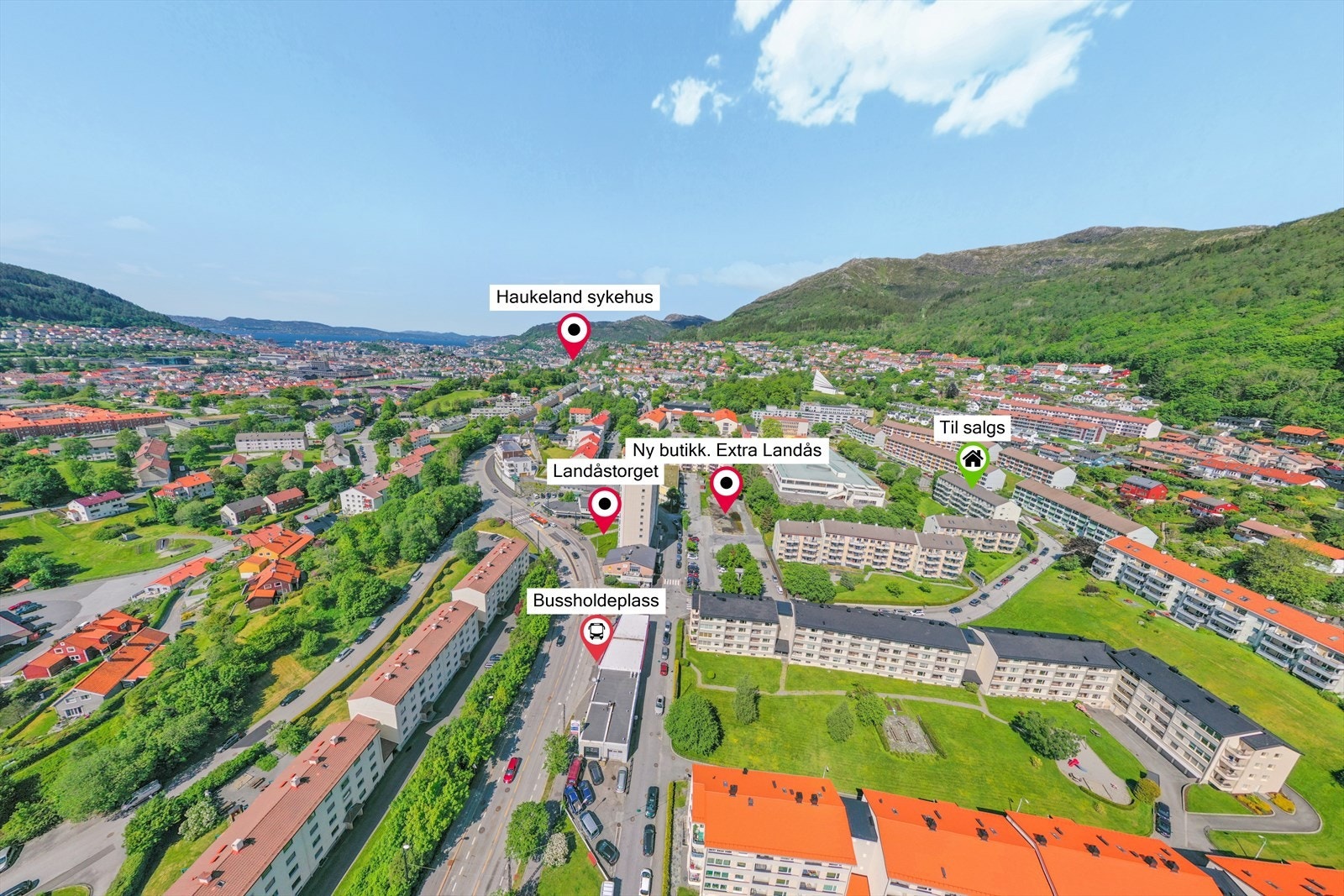 Himladronen. Galleribilde