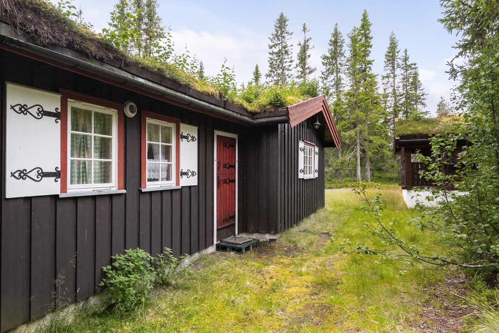 Inngangspartiet til hytta. Galleribilde