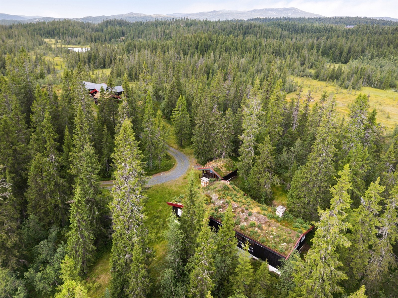 Høydefoto. Galleribilde