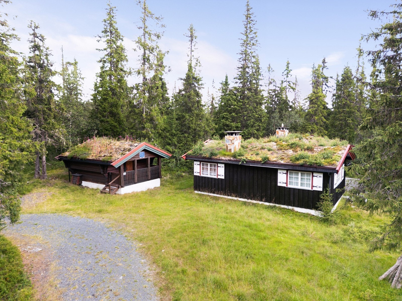 Sjarmerende hyttetun. Galleribilde