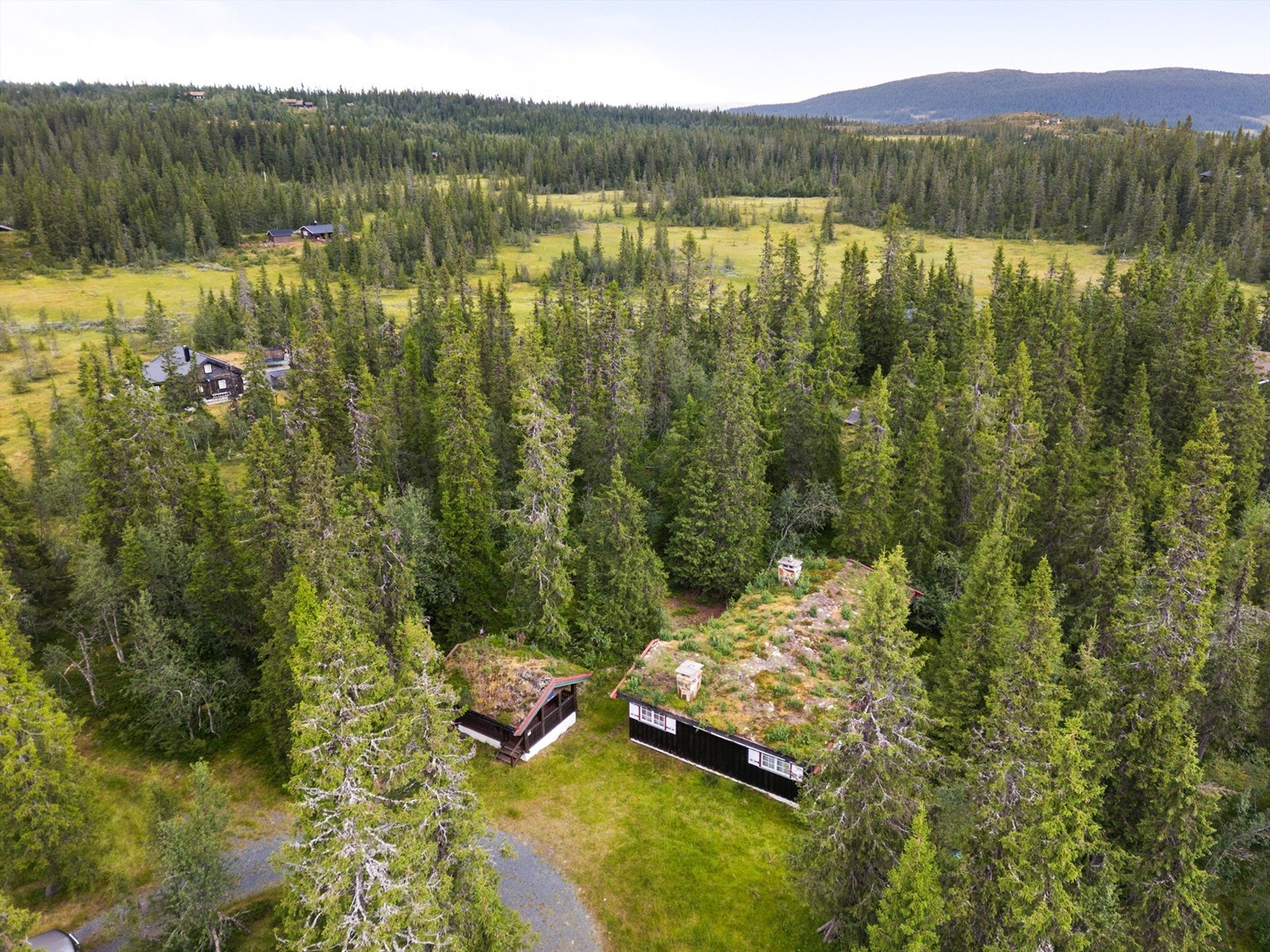 Høydefoto. Galleribilde