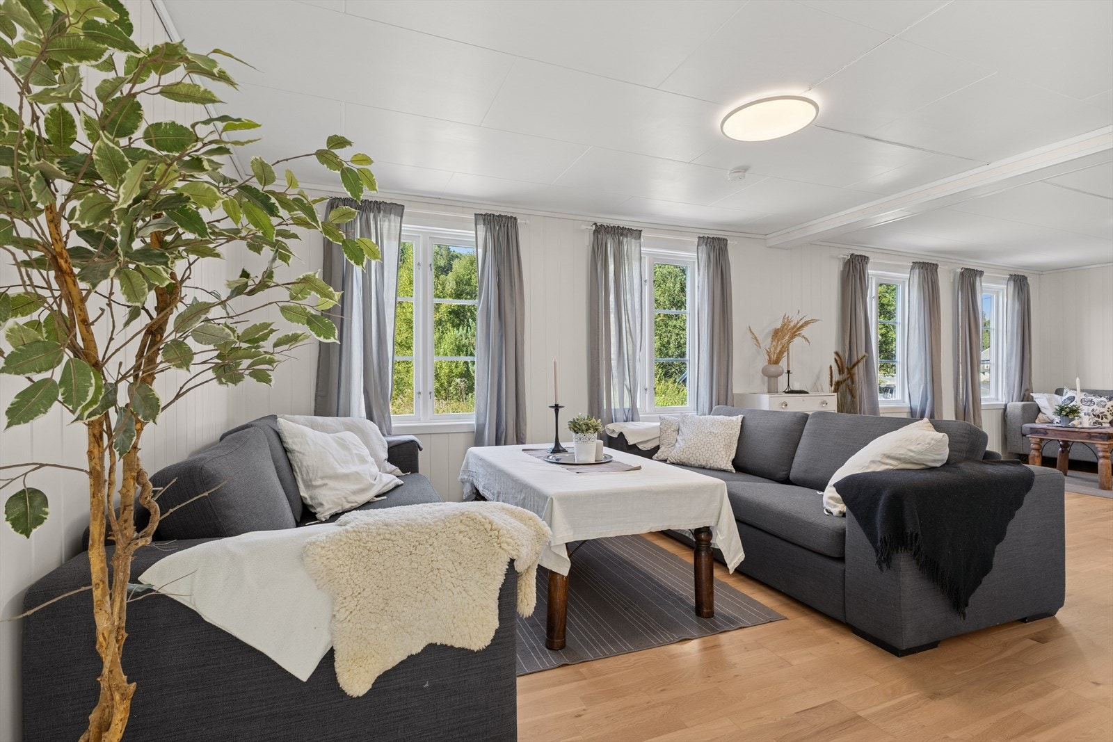 Store vindusflater som lar dagslyset flyte fritt. Galleribilde