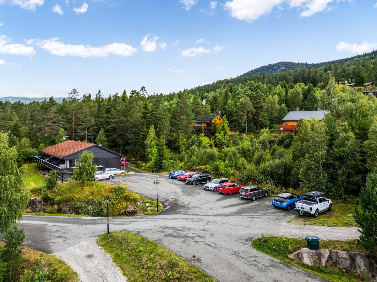 Parkeringsplass Galleribilde