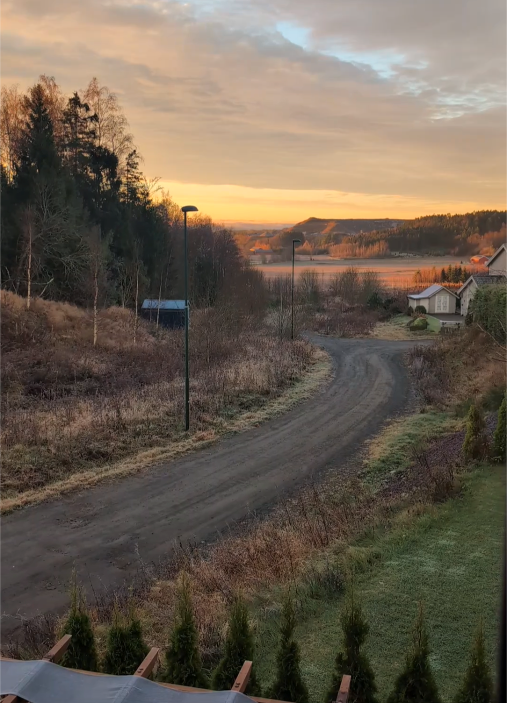 Selgers eget bilde. Galleribilde