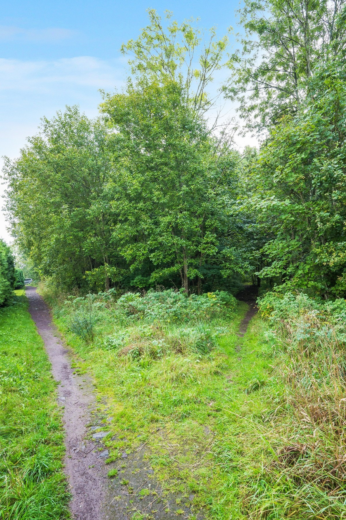 Ca. 5 minutter med sykkel ned til populære Løvøya med turområder, badestrand, småbåthavn og café. Galleribilde