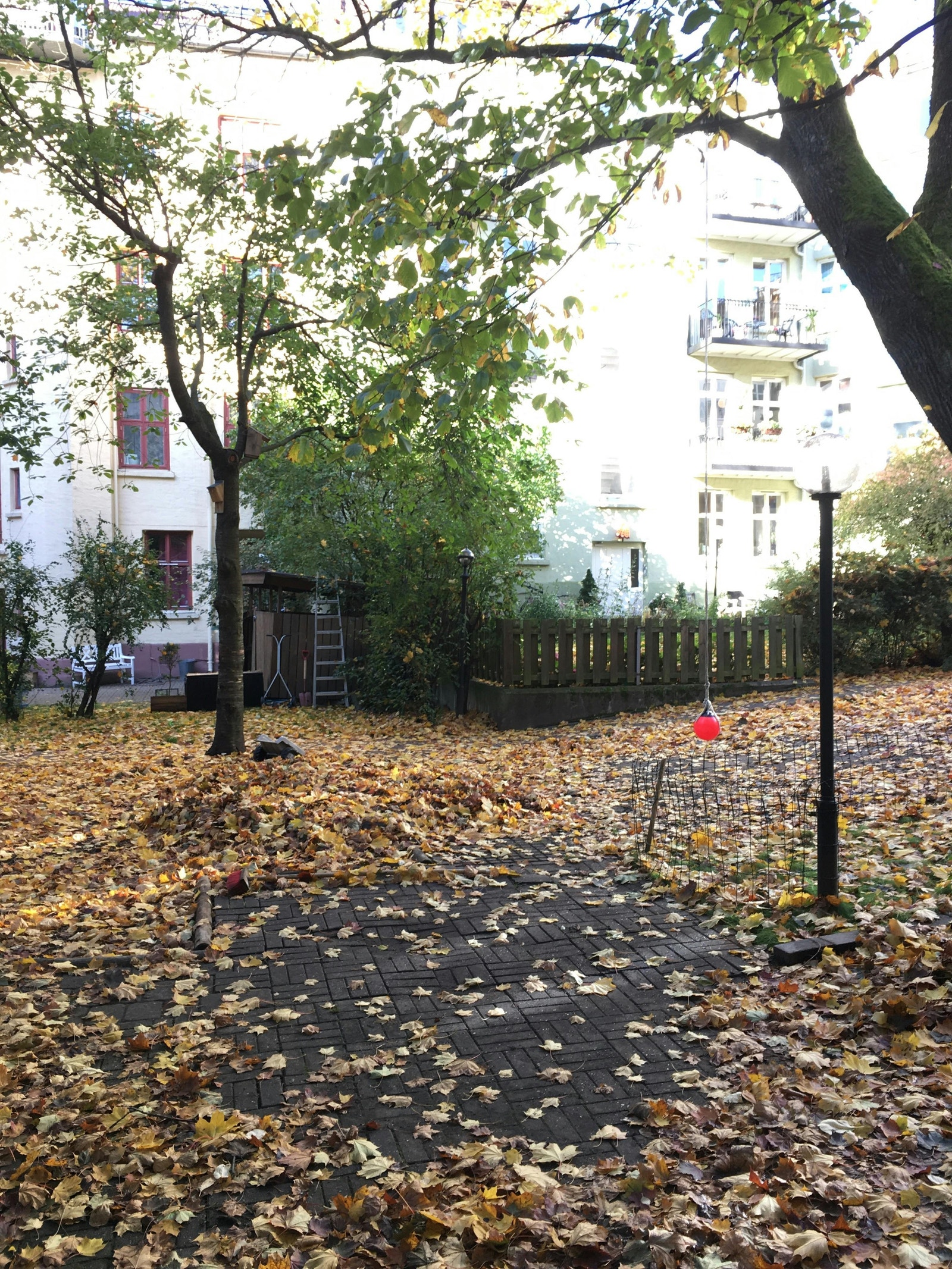 Rolig bakgård Galleribilde