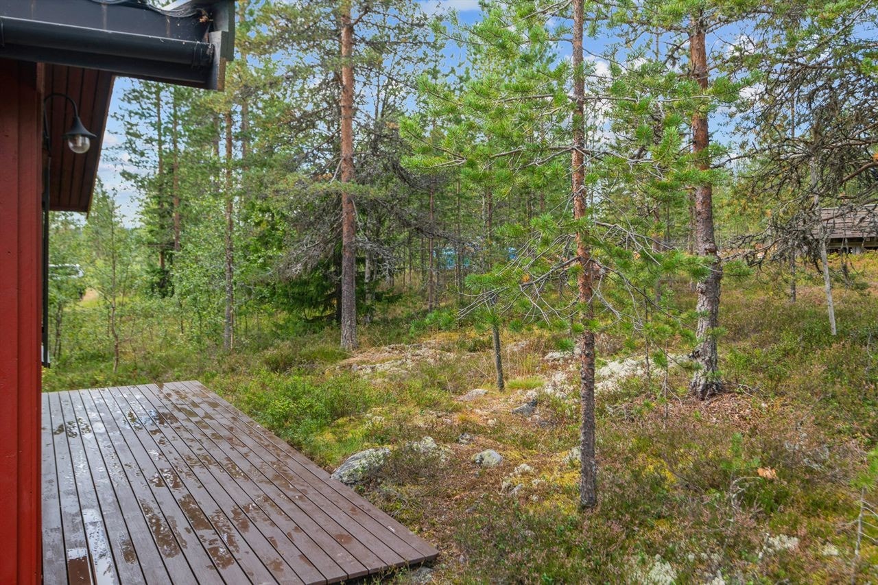Fra uteplassen ser man utover den flate naturtomten med lyng og furuskog. Galleribilde