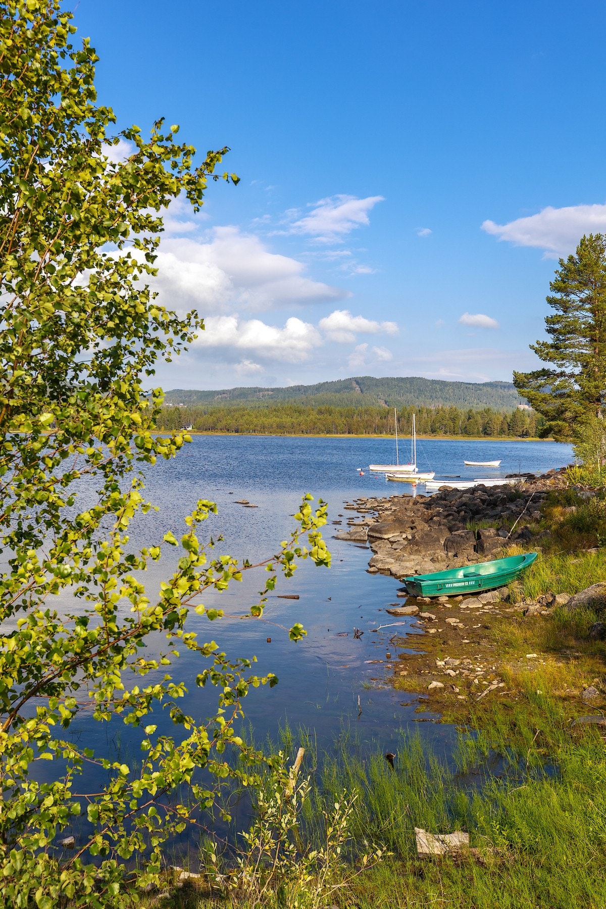 Nærområde. Galleribilde