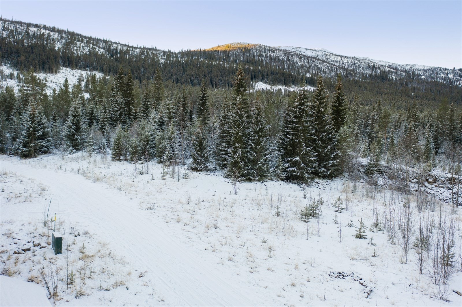 Mastefoto Galleribilde