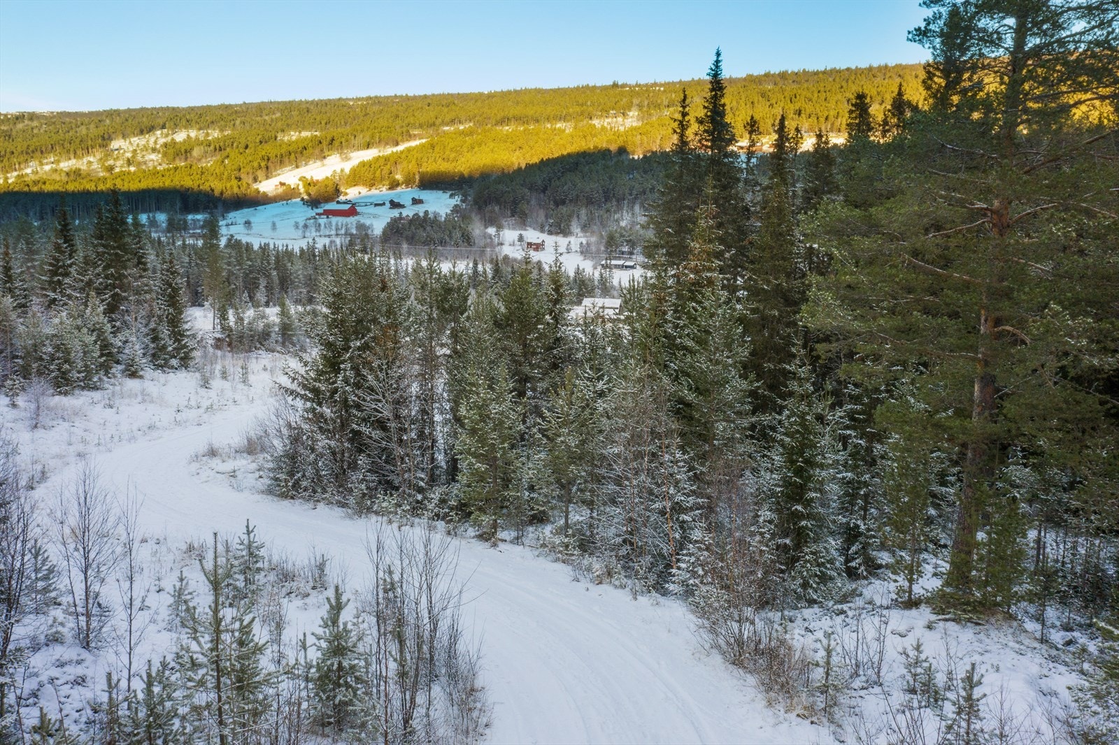 Mastefoto Galleribilde