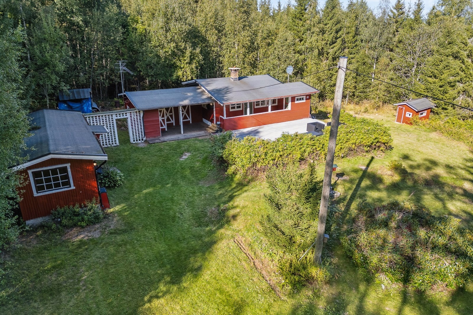 Stor naturtomt med gressplen og beplantning. Galleribilde