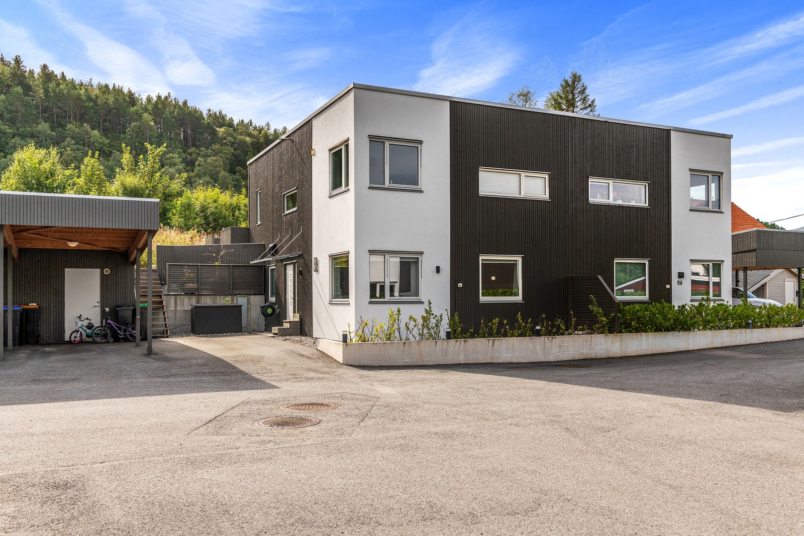 Fasade. Galleribilde