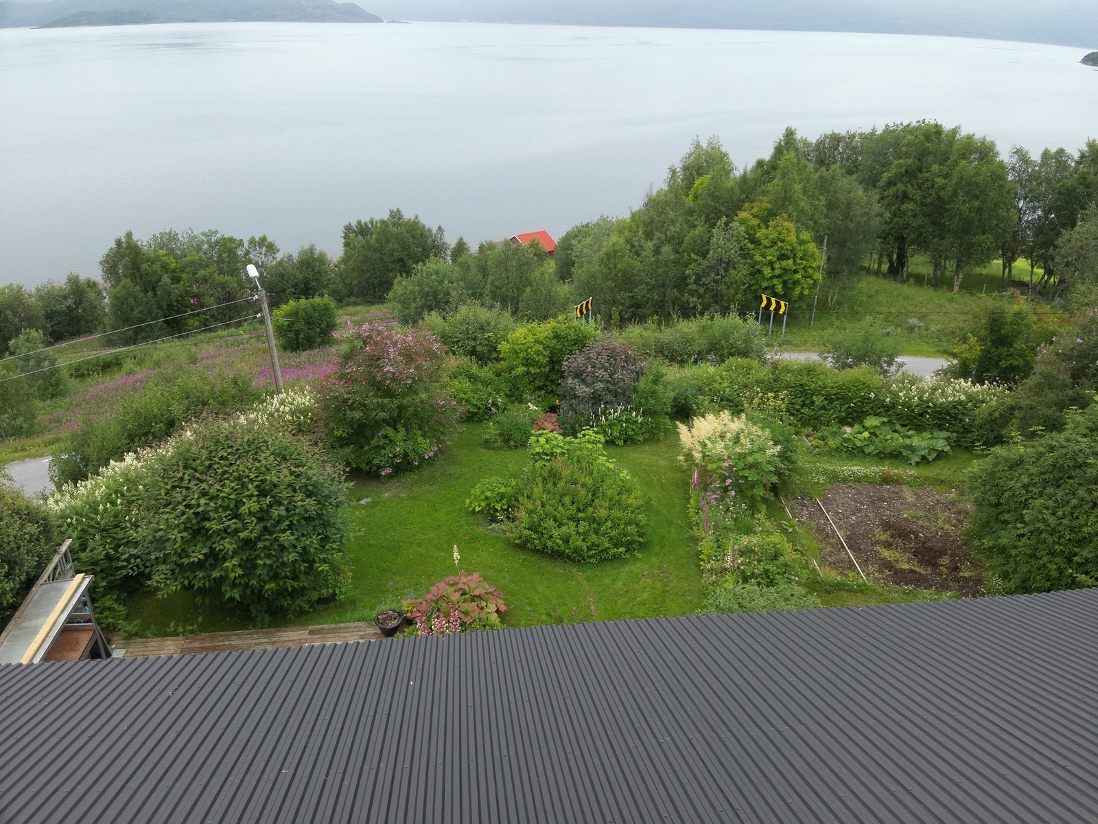 Private bilder. Galleribilde