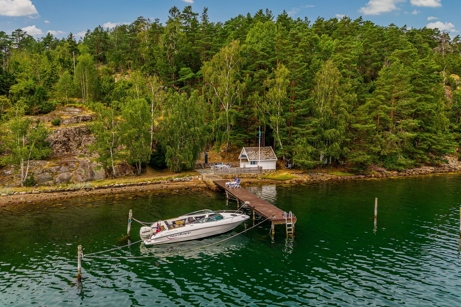Skogen er på 154 dekar som strekker seg over kollen mot sjøen i øst. Galleribilde