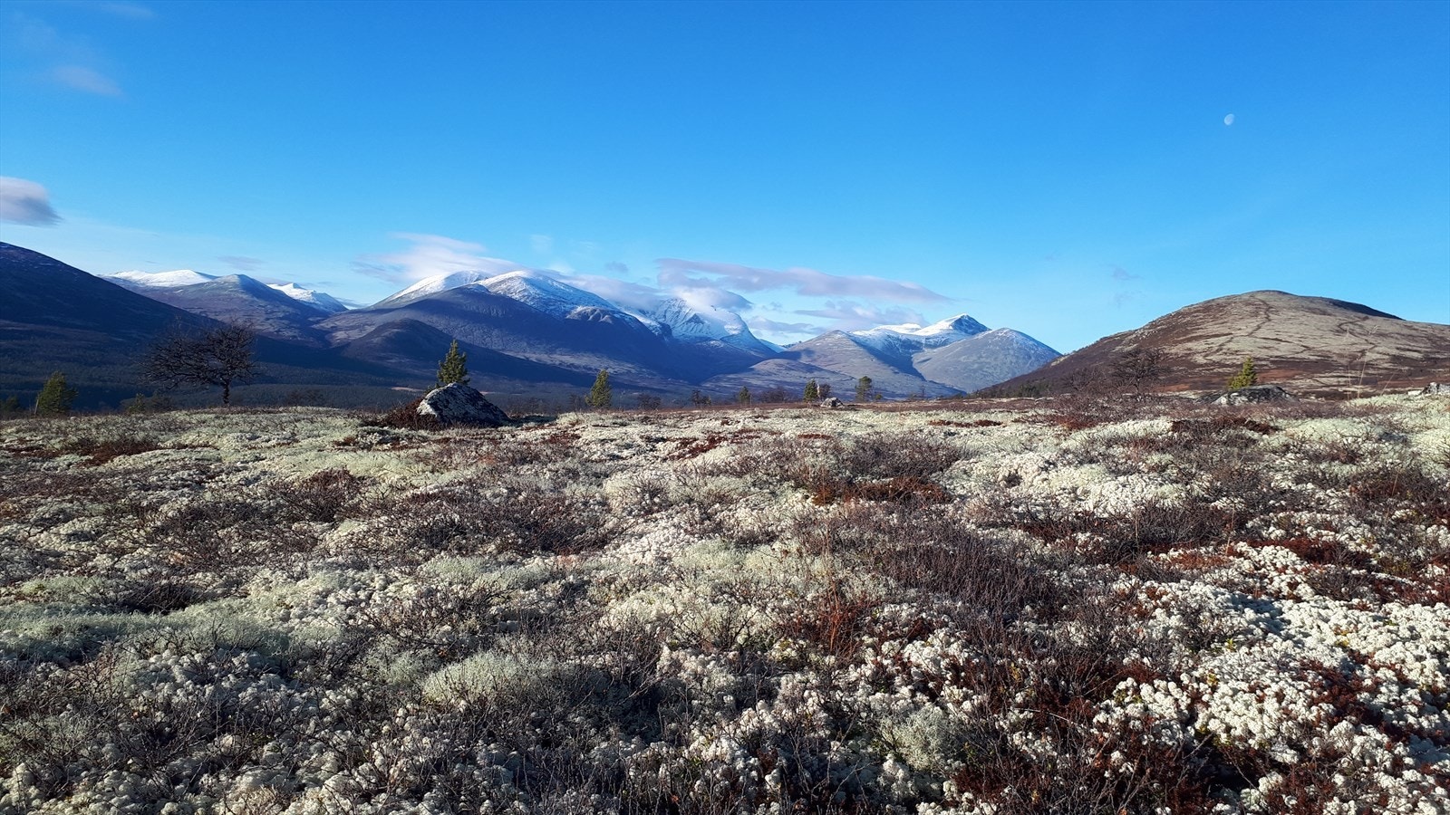 Privat bilde. Galleribilde