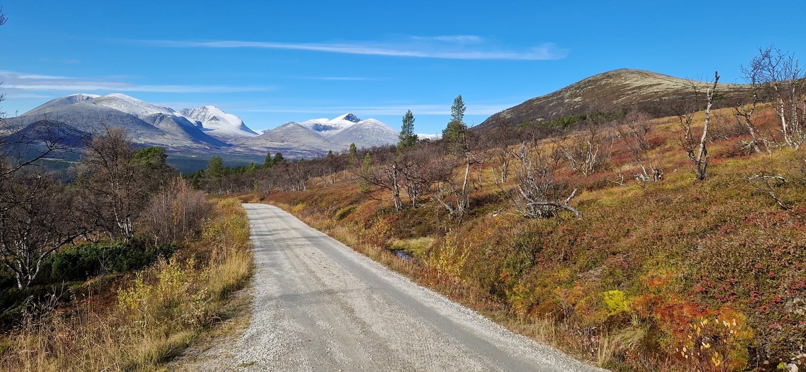 Privat bilde Galleribilde