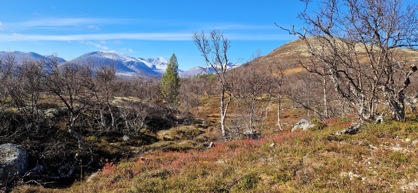 Privat bilde. Galleribilde