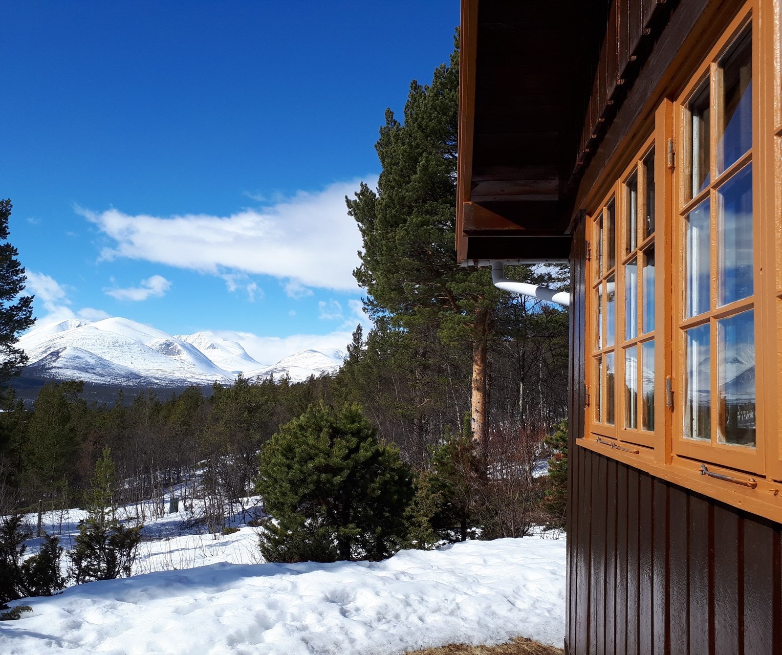 Privat bilde. Galleribilde