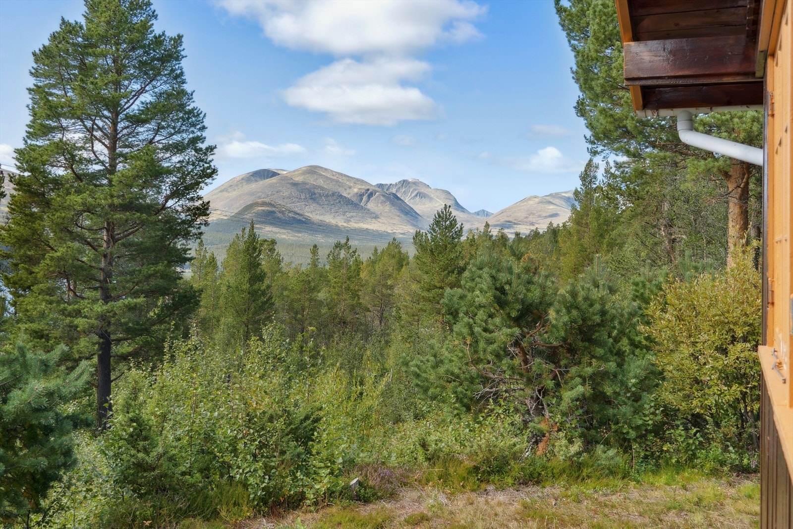 Private bilder tatt fra nord-vestlig hjørne på hytta. Galleribilde