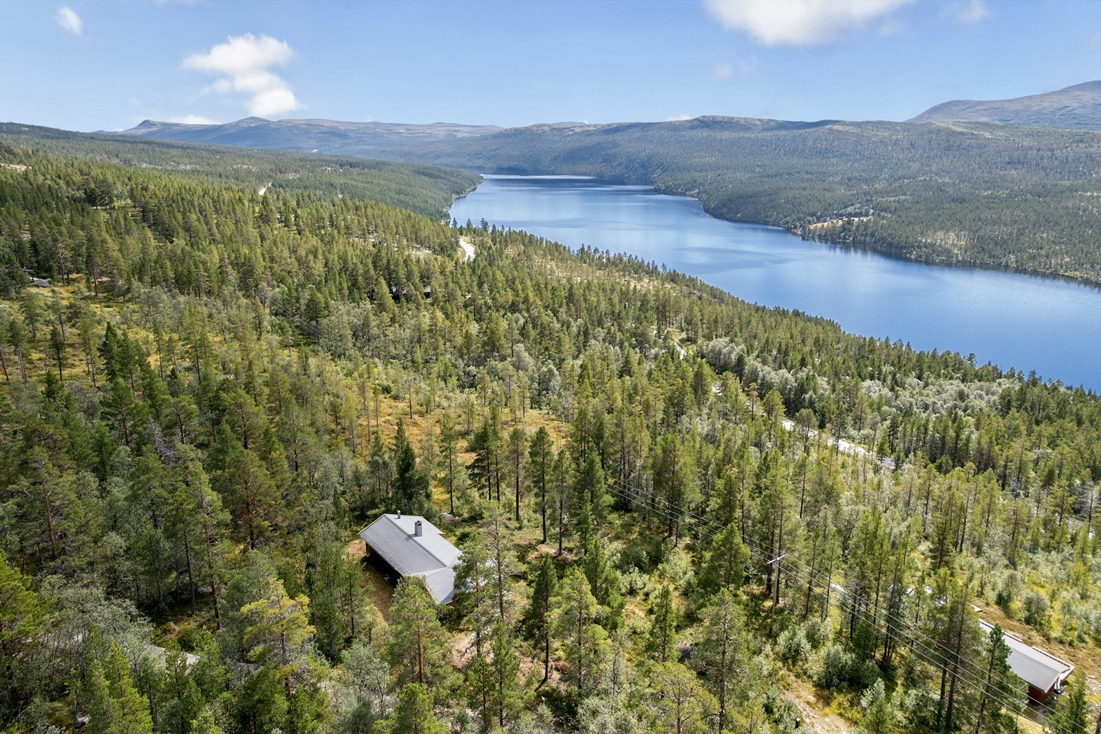 Oversiktsbilde mot syd fra Drone. Bildet viser Atnsjøen. Galleribilde