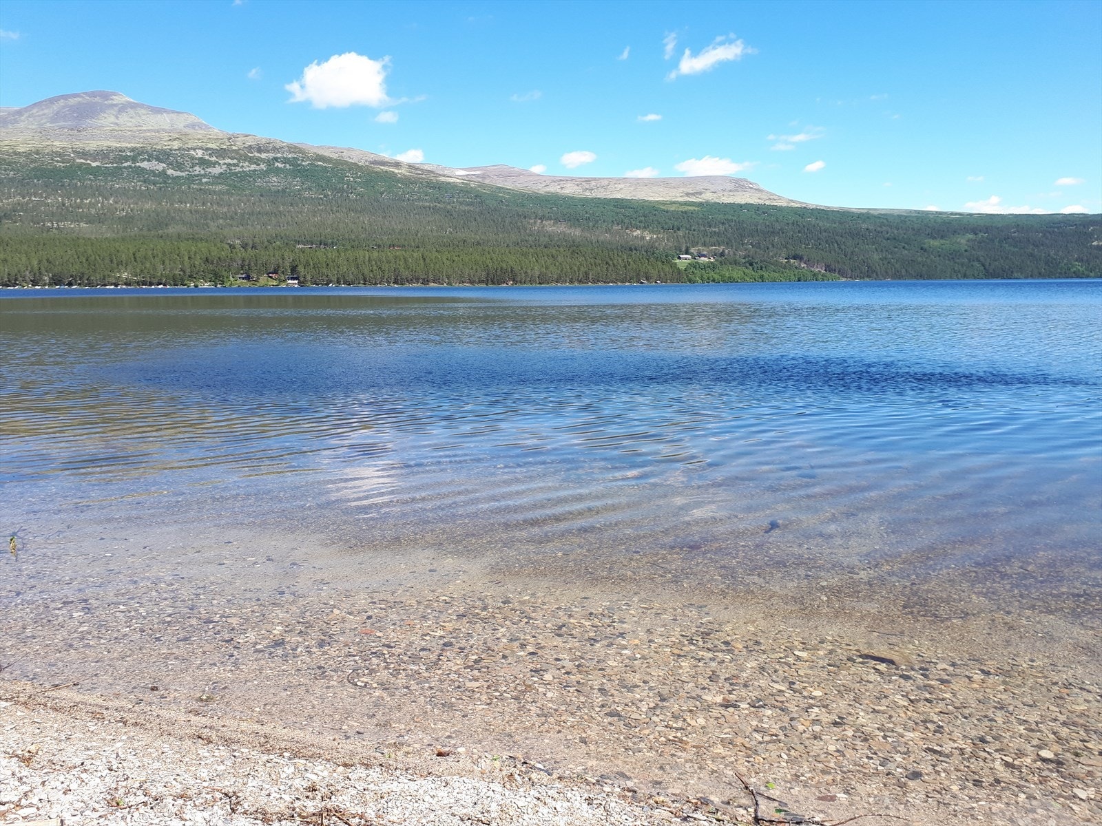 Privat bilde. Galleribilde