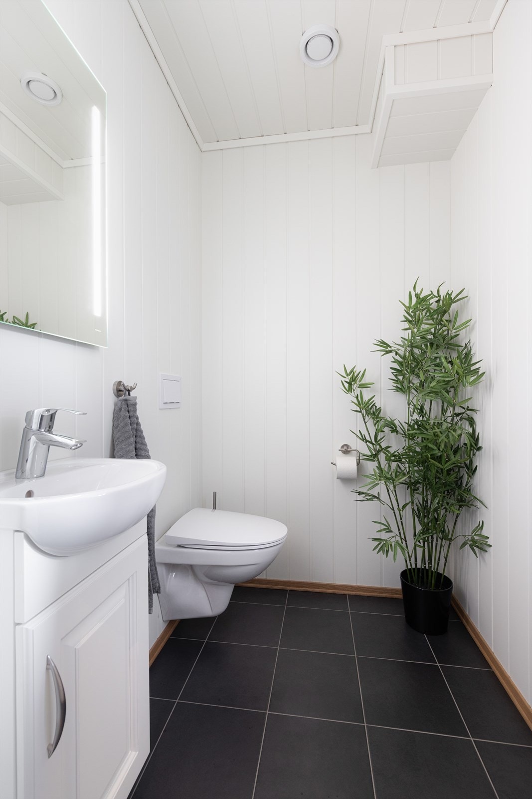 Toalettrommet innehar veggmontert toalett og servant med underskap og speil over. Galleribilde