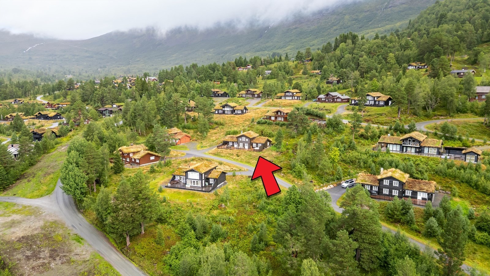 Nærområde Galleribilde