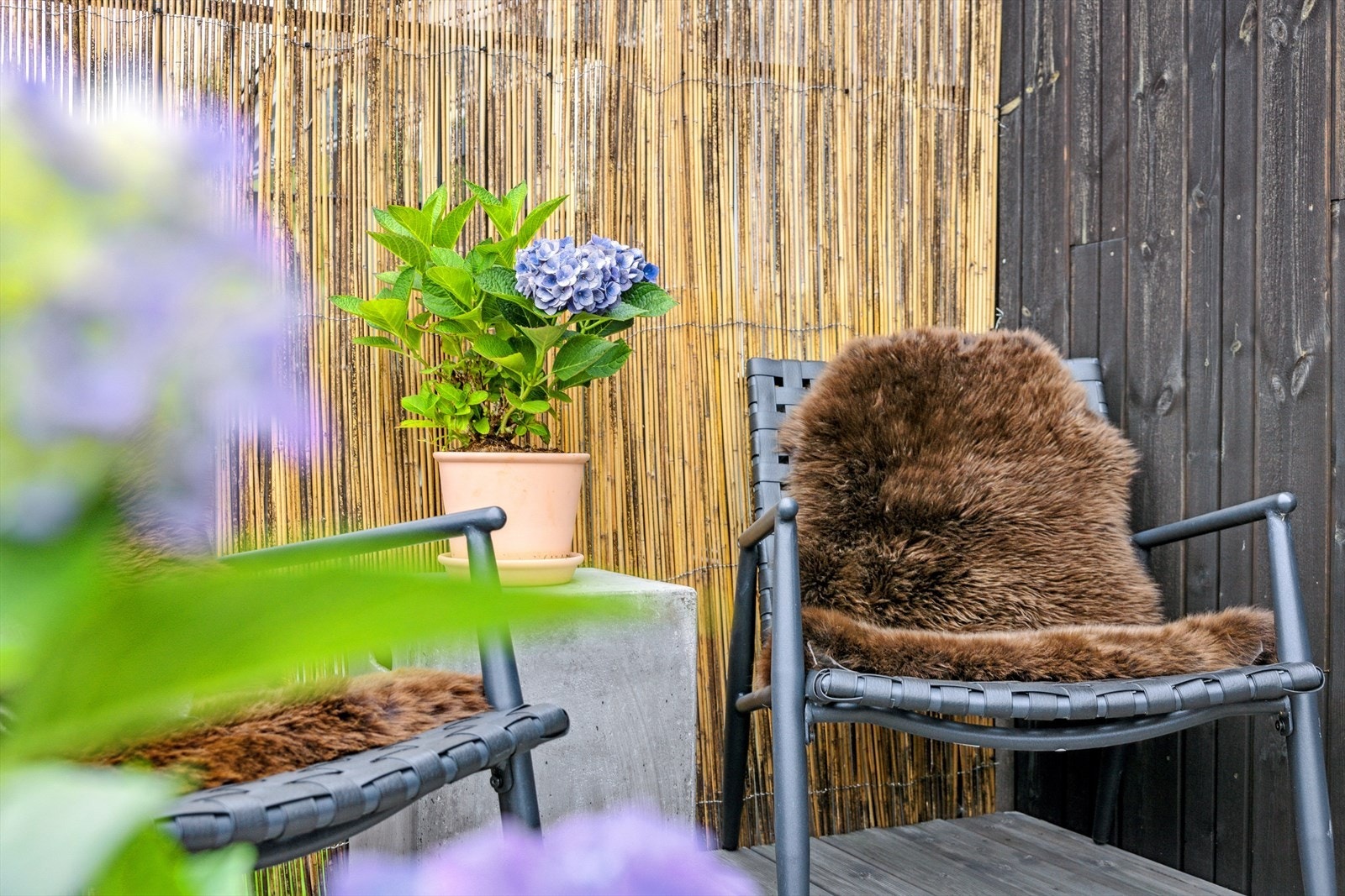 Slå deg ned å nyt morgenkaffen. Galleribilde