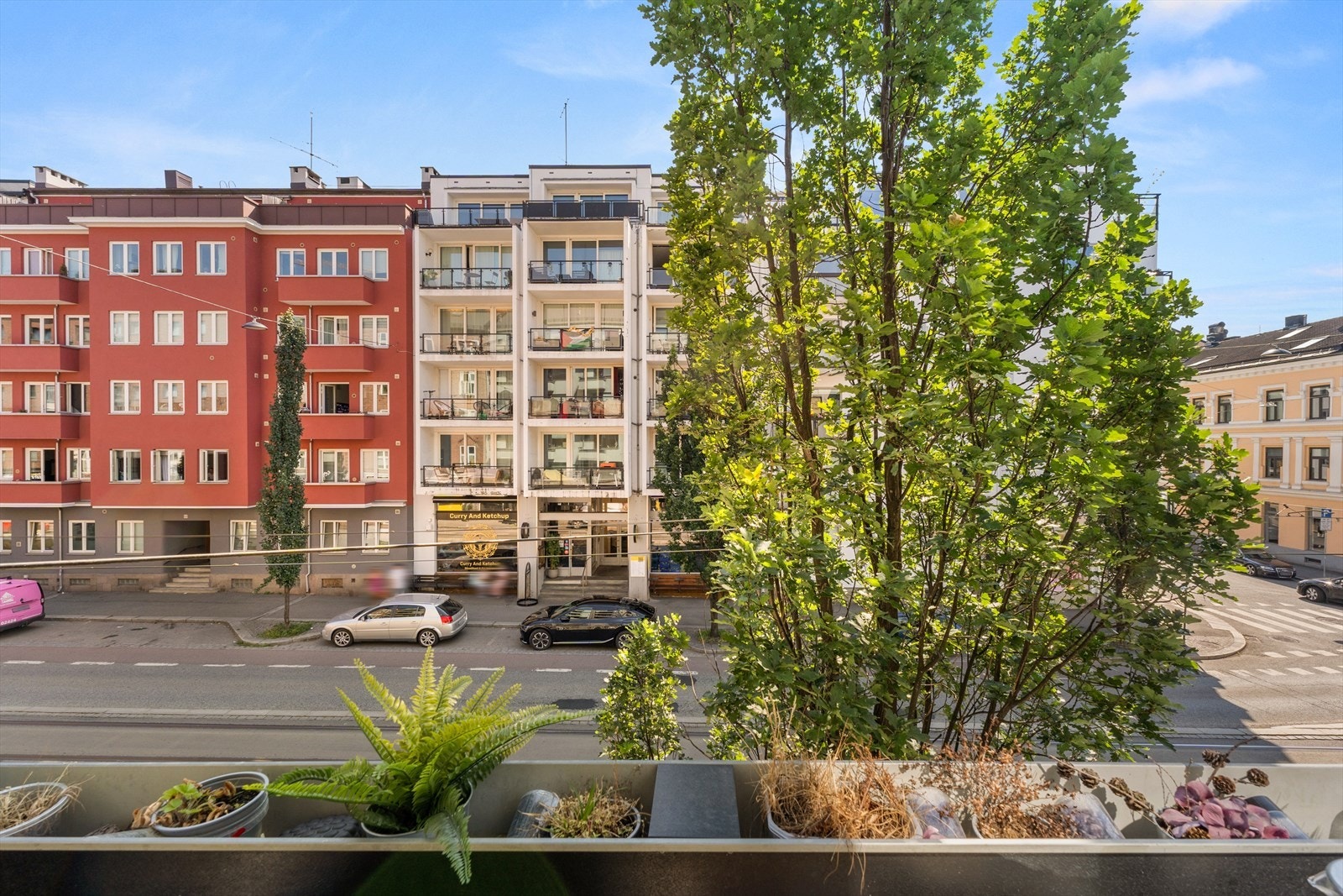 Frodig beplantning skjermer balkongen og gir en lun stemning. Galleribilde