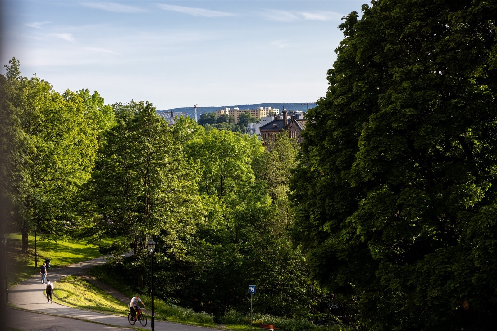 Flott og frodig utsyn! Galleribilde