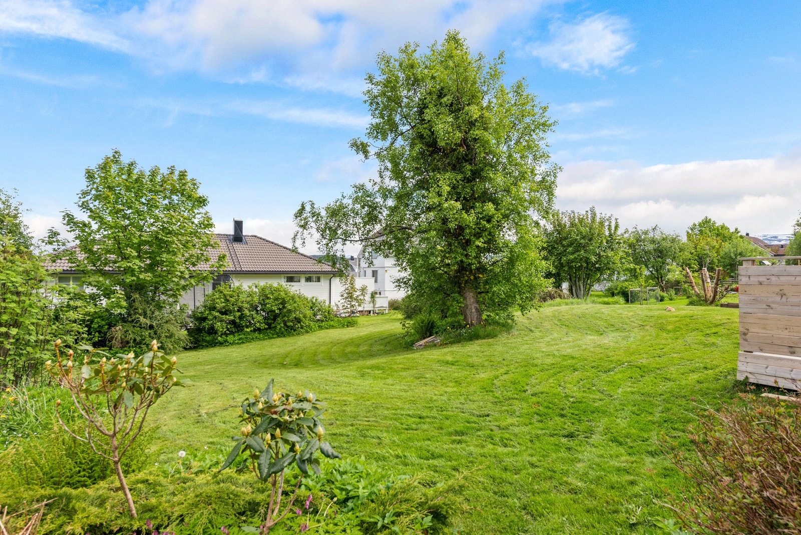 Stor hage med diverse beplantning. Galleribilde