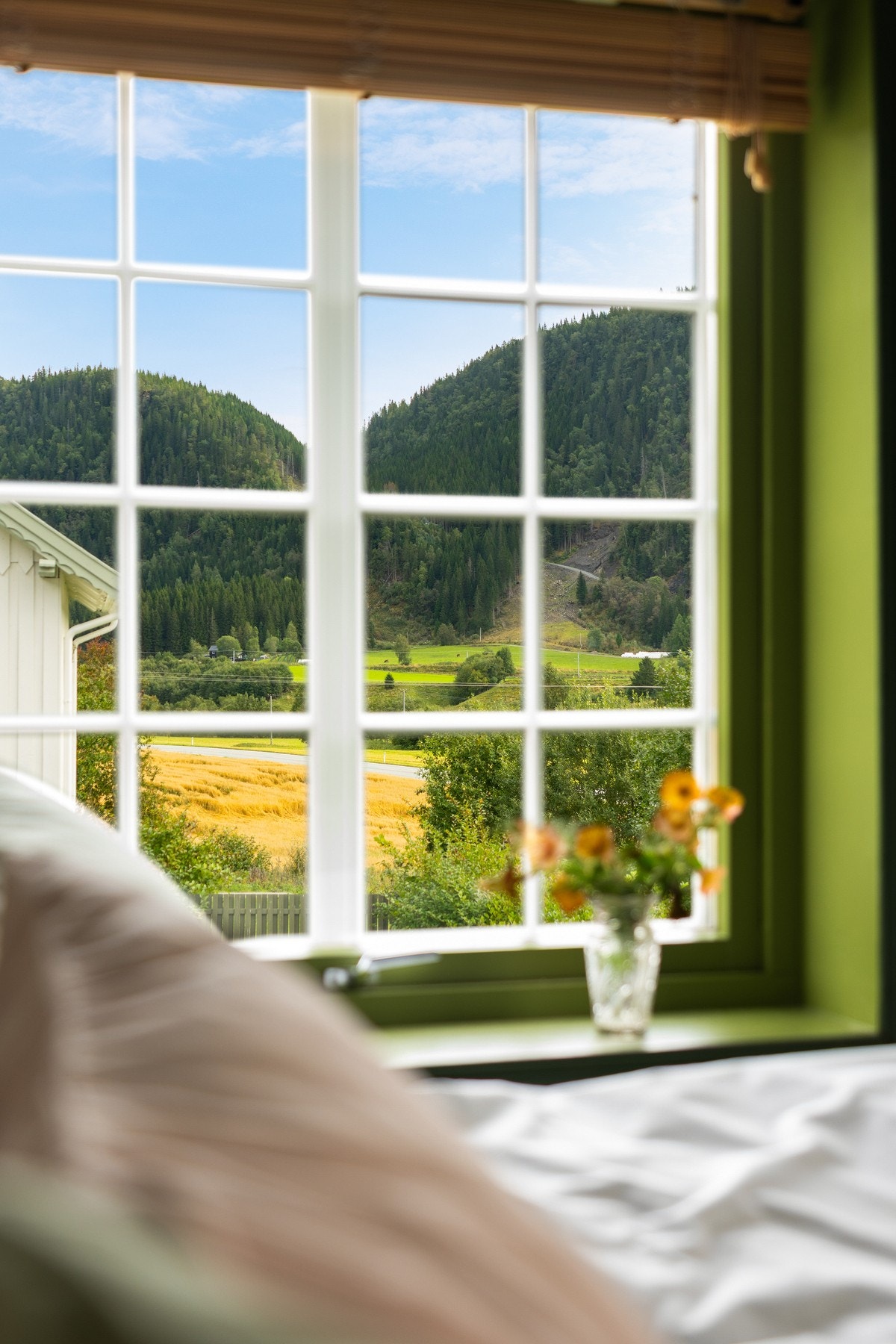 Utsikt fra soverommet. Galleribilde