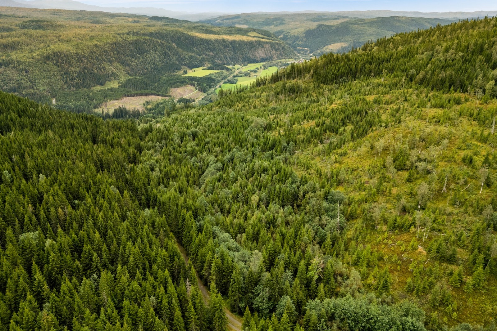 Gårdens utmarksområder lett tilgjengelig. Bilveg skimtes nederst. Galleribilde