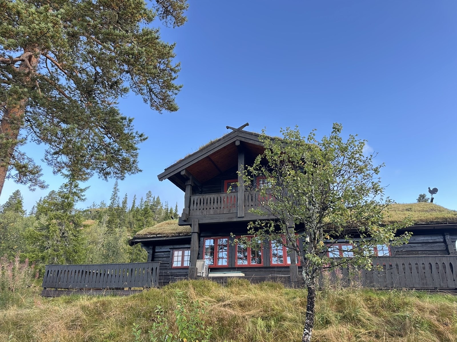 Selgers private bilder! Galleribilde