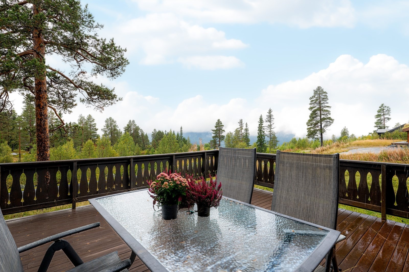 Store, vestvendte terrasser gir optimale solforhold, hvor man kan nyte solen helt til kl. 21-22 på solrike dager. Galleribilde