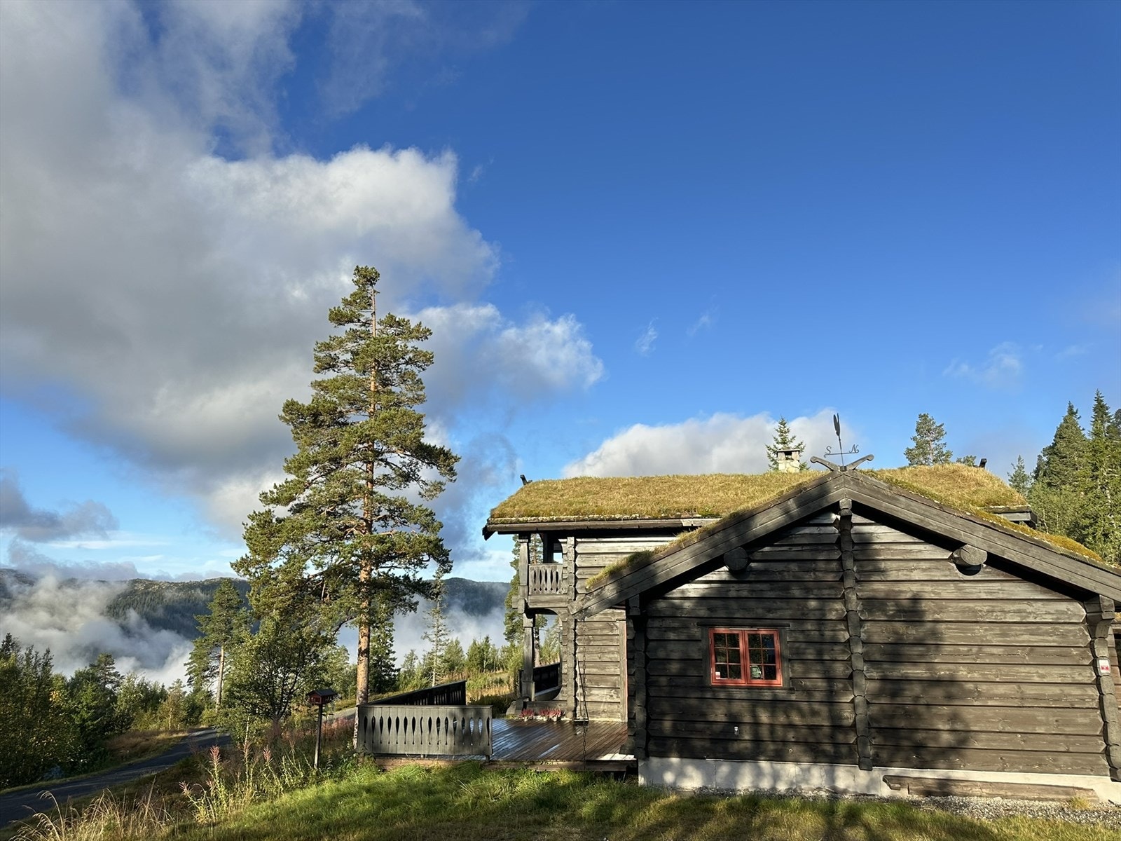 Selgers private bilder! Galleribilde