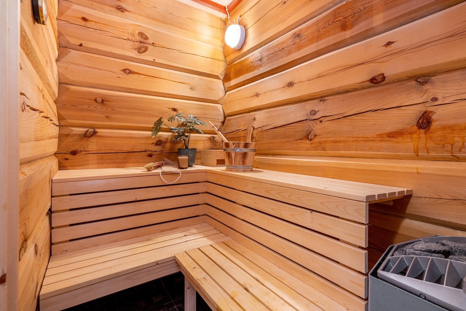 Badstua er innredet med trebenker i to høyder. Galleribilde